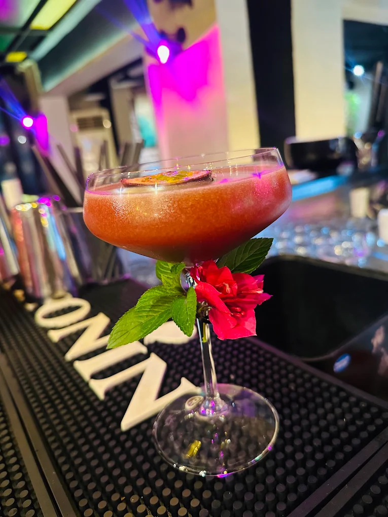 Maison 24 Berat bar counter